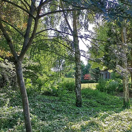 Holiday home De Vallonchene Sommery