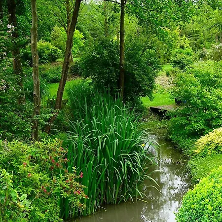 De Vallonchene Sommery